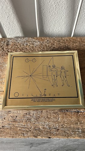 Targa sonda spaziale pioneer - targa,